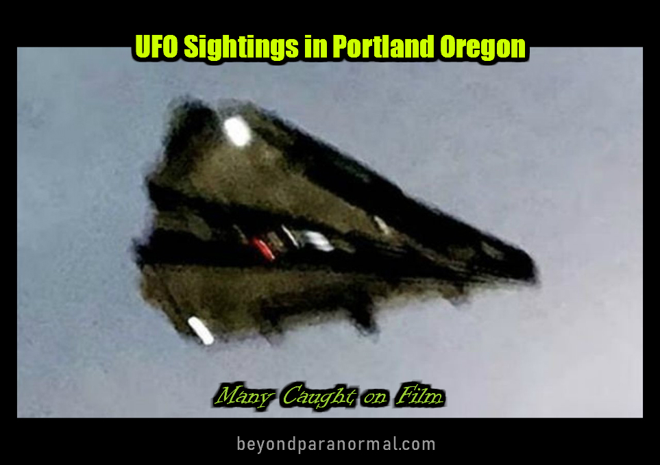 an image of UFO%20Sightings Beyond Paranormal